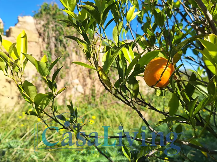 Immagine 1 di Terreno agricolo in vendita  in contrada sperone a Altavilla Milicia