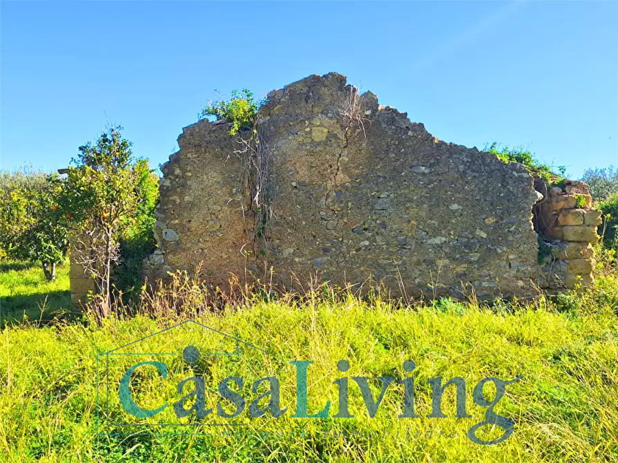 Immagine 4 di Terreno agricolo in vendita  in contrada sperone a Altavilla Milicia