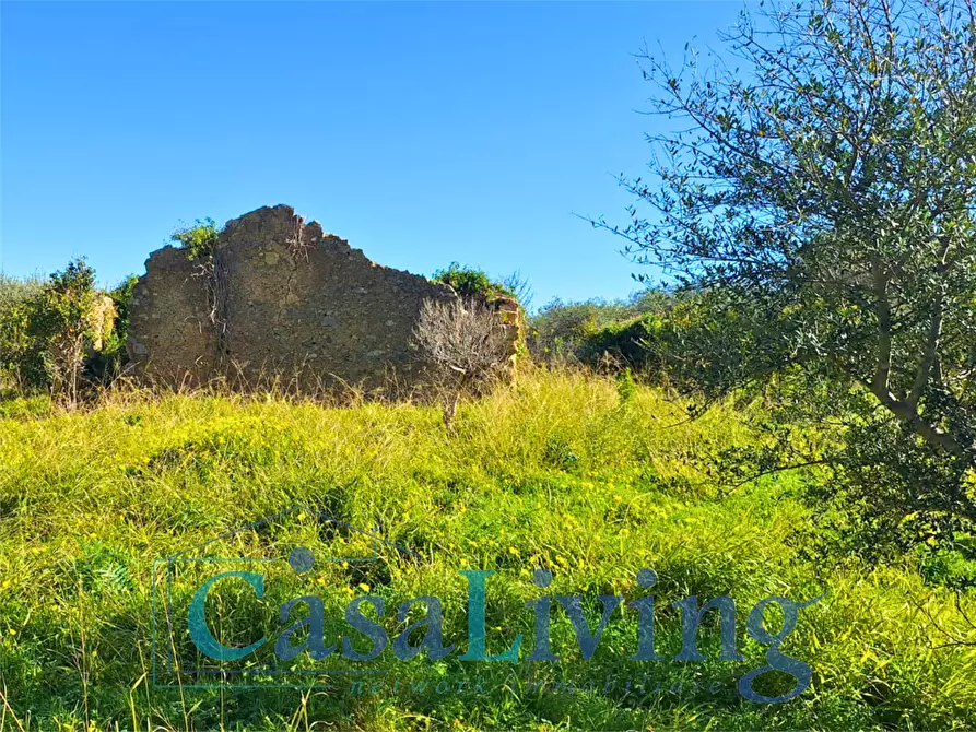Immagine 5 di Terreno agricolo in vendita  in contrada sperone a Altavilla Milicia
