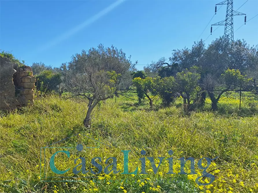 Immagine 6 di Terreno agricolo in vendita  in contrada sperone a Altavilla Milicia