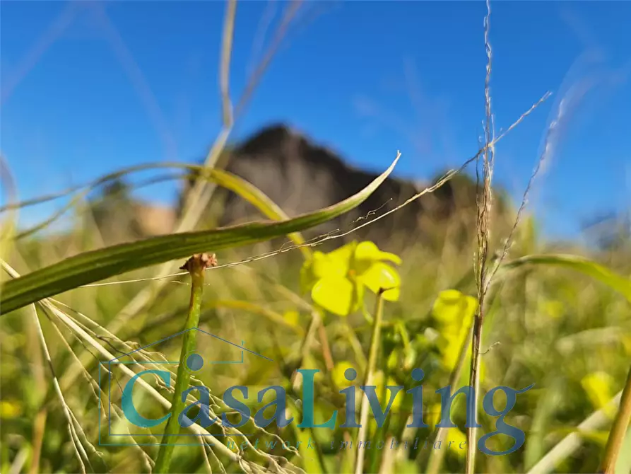 Immagine 7 di Terreno agricolo in vendita  in contrada sperone a Altavilla Milicia