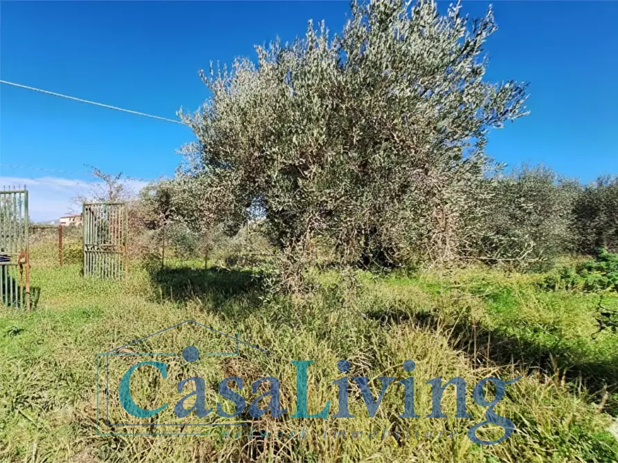 Immagine 8 di Terreno agricolo in vendita  in contrada sperone a Altavilla Milicia