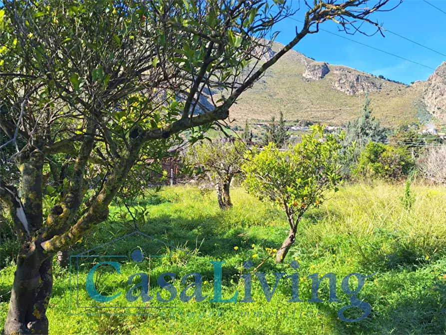 Immagine 11 di Terreno agricolo in vendita  in contrada sperone a Altavilla Milicia
