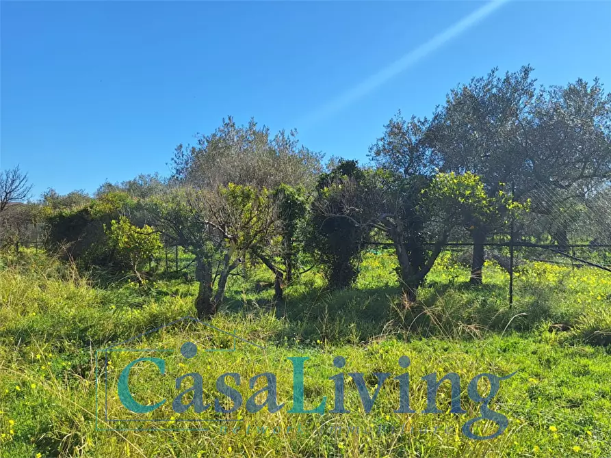 Immagine 12 di Terreno agricolo in vendita  in contrada sperone a Altavilla Milicia