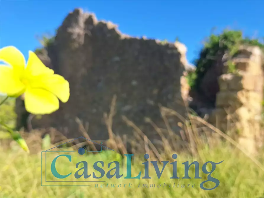 Immagine 13 di Terreno agricolo in vendita  in contrada sperone a Altavilla Milicia