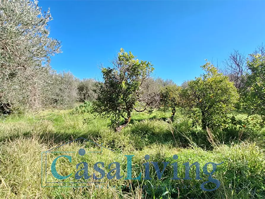 Immagine 19 di Terreno agricolo in vendita  in contrada sperone a Altavilla Milicia