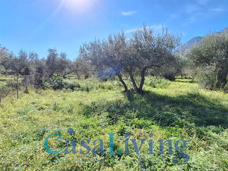Immagine 20 di Terreno agricolo in vendita  in contrada sperone a Altavilla Milicia