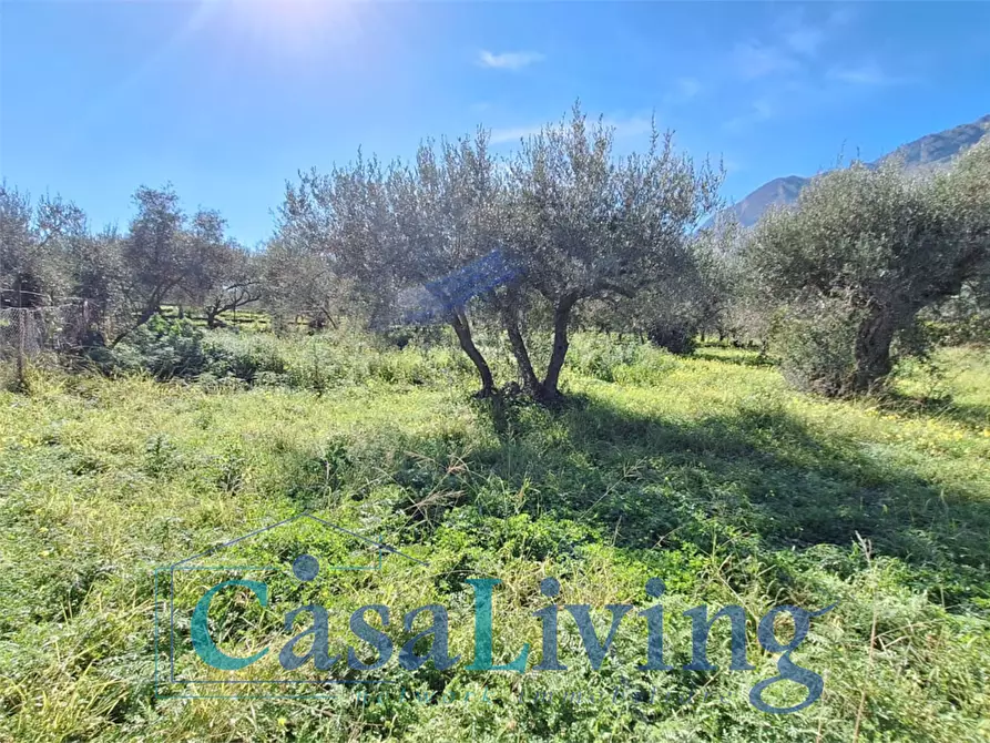 Immagine 21 di Terreno agricolo in vendita  in contrada sperone a Altavilla Milicia