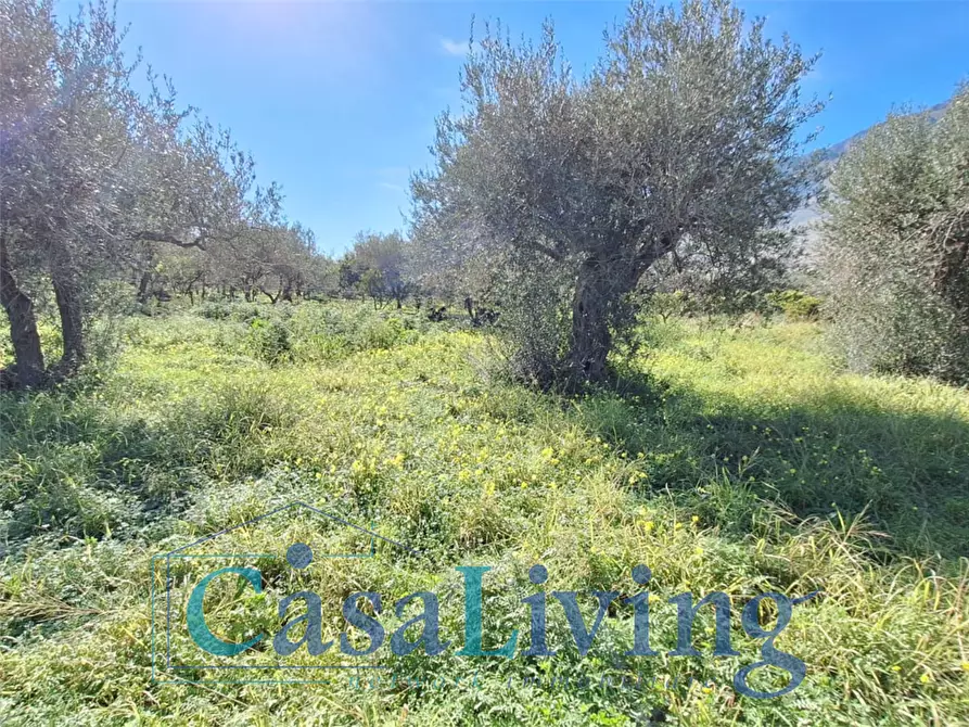 Immagine 22 di Terreno agricolo in vendita  in contrada sperone a Altavilla Milicia