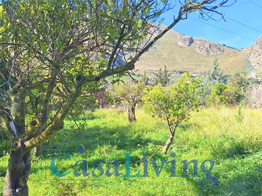 Immagine 23 di Terreno agricolo in vendita  in contrada sperone a Altavilla Milicia