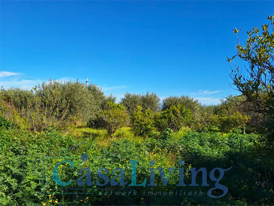 Immagine 24 di Terreno agricolo in vendita  in contrada sperone a Altavilla Milicia