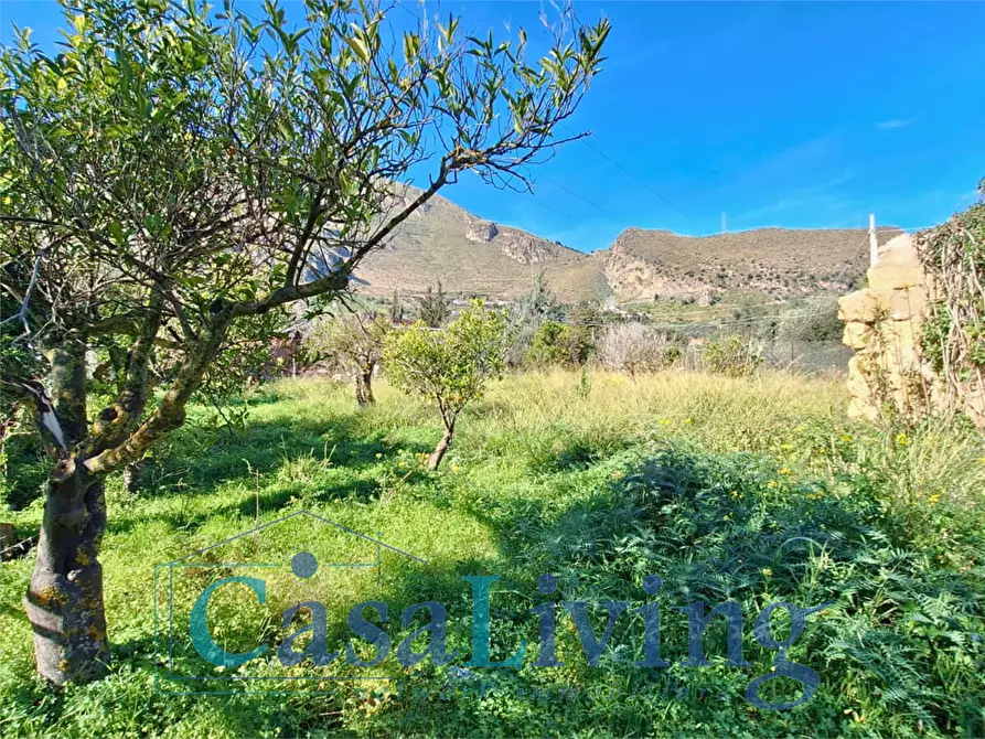 Immagine 25 di Terreno agricolo in vendita  in contrada sperone a Altavilla Milicia