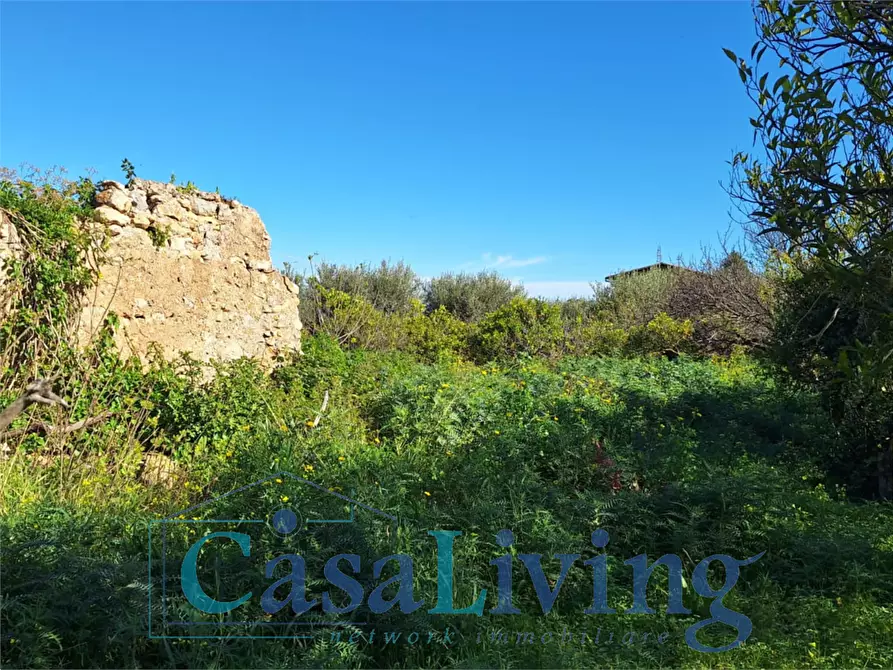 Immagine 26 di Terreno agricolo in vendita  in contrada sperone a Altavilla Milicia