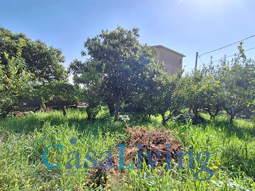 Immagine 22 di Villa in affitto  in Vi santicelli a Monreale