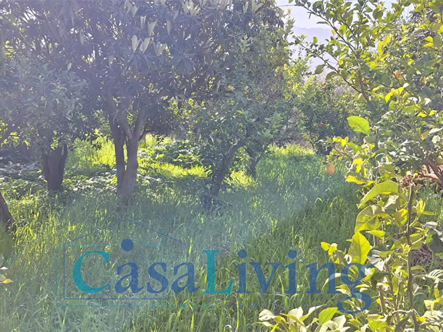 Immagine 23 di Villa in affitto  in Vi santicelli a Monreale