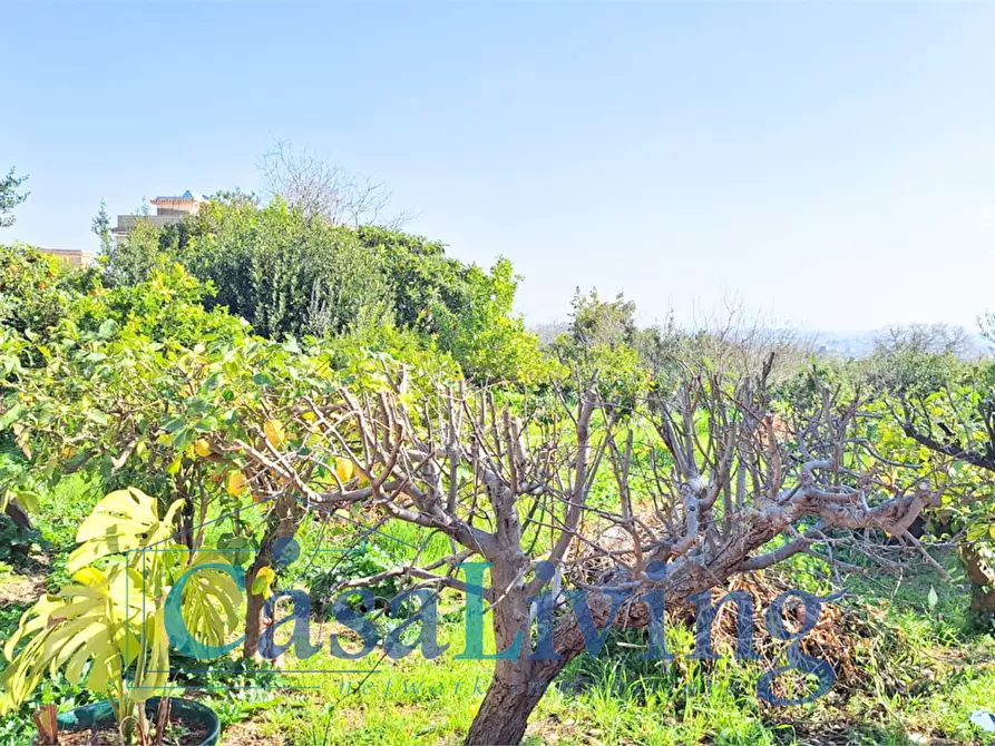 Immagine 27 di Villa in affitto  in Vi santicelli a Monreale