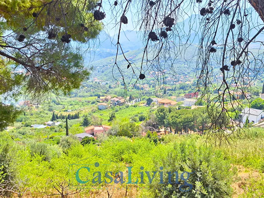 Immagine 8 di Terreno edificabile in vendita  in contrada santa rosalia a Monreale