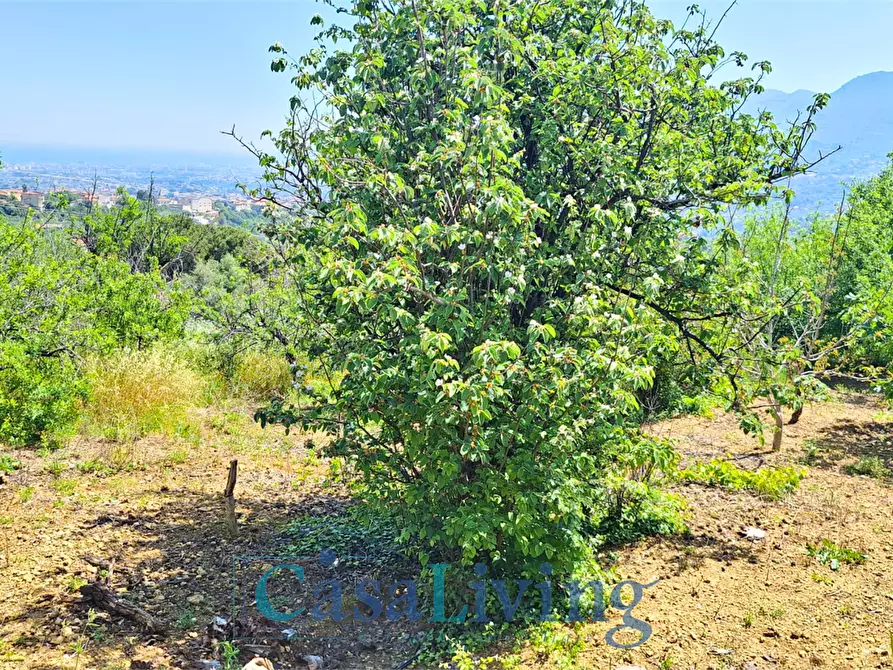 Immagine 25 di Terreno edificabile in vendita  in contrada santa rosalia a Monreale