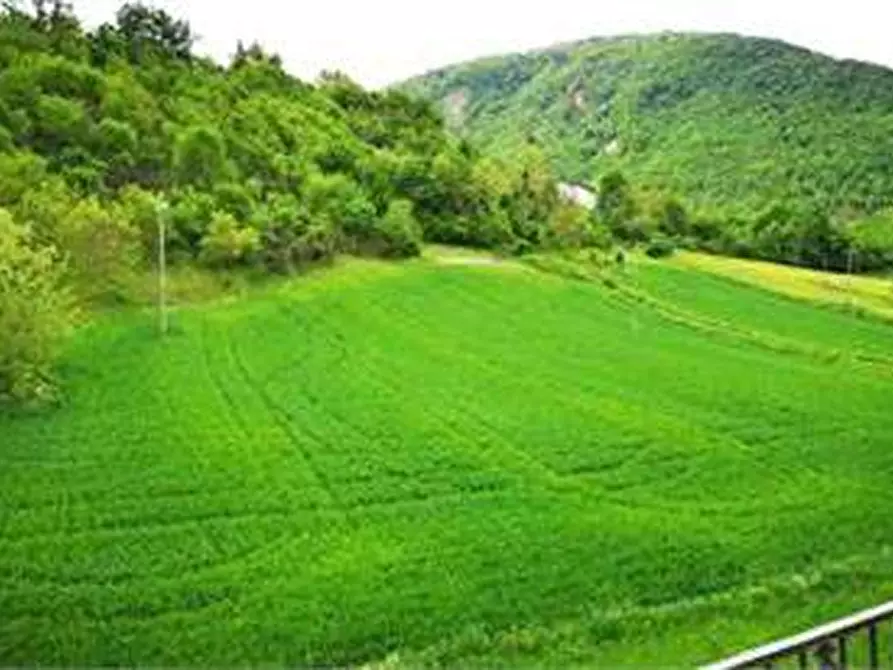 Immagine 8 di Casa indipendente in vendita  in Case Sparse Naro 143/A a Cagli