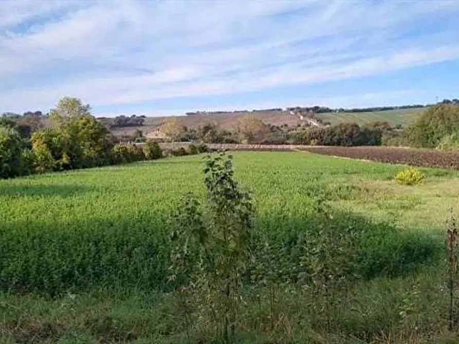 Immagine 1 di Terreno edificabile in vendita  in Via Ugo Betti snc a Mondolfo