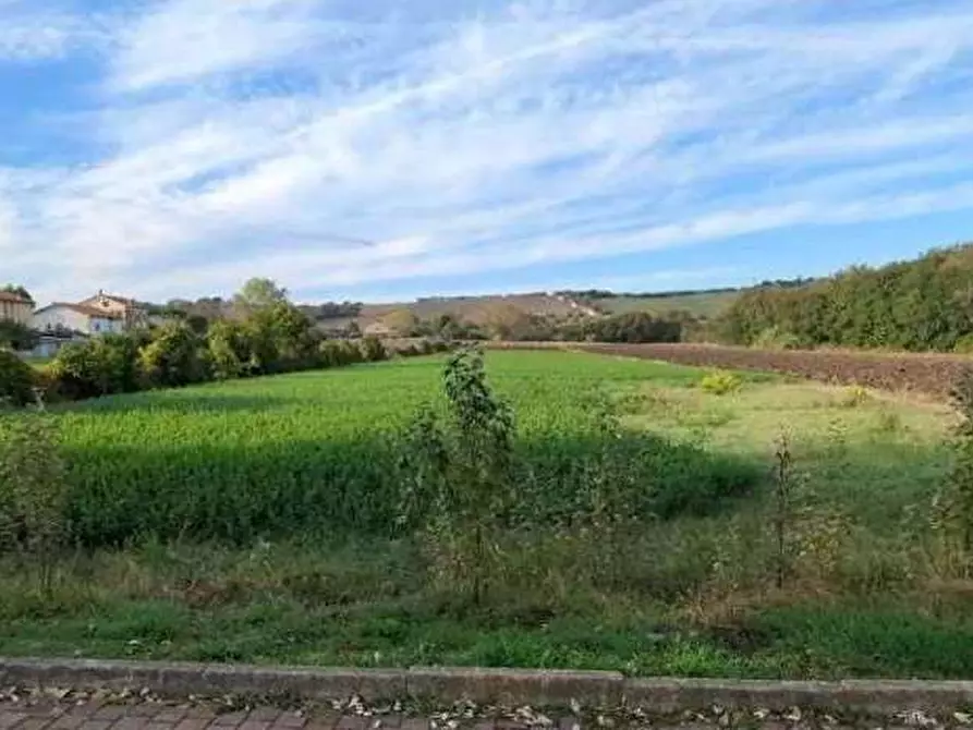 Immagine 3 di Terreno edificabile in vendita  in Via Ugo Betti snc a Mondolfo