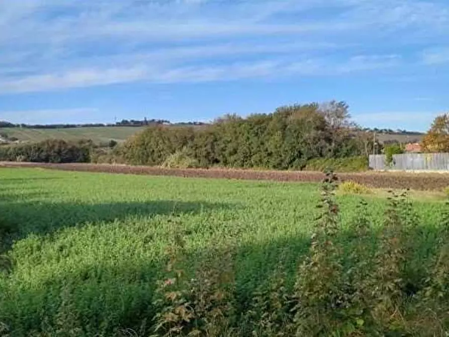 Immagine 4 di Terreno edificabile in vendita  in Via Ugo Betti snc a Mondolfo