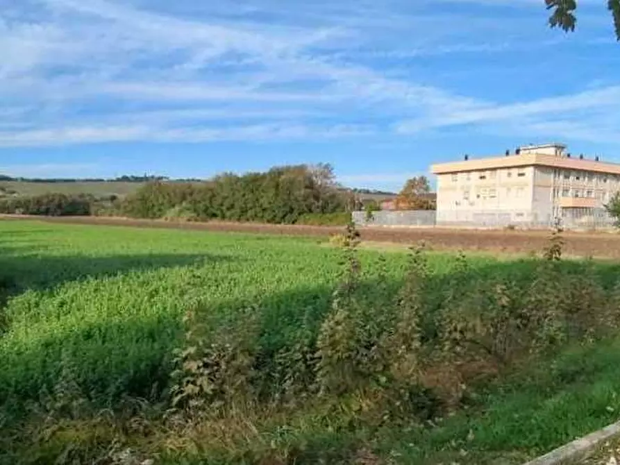 Immagine 5 di Terreno edificabile in vendita  in Via Ugo Betti snc a Mondolfo