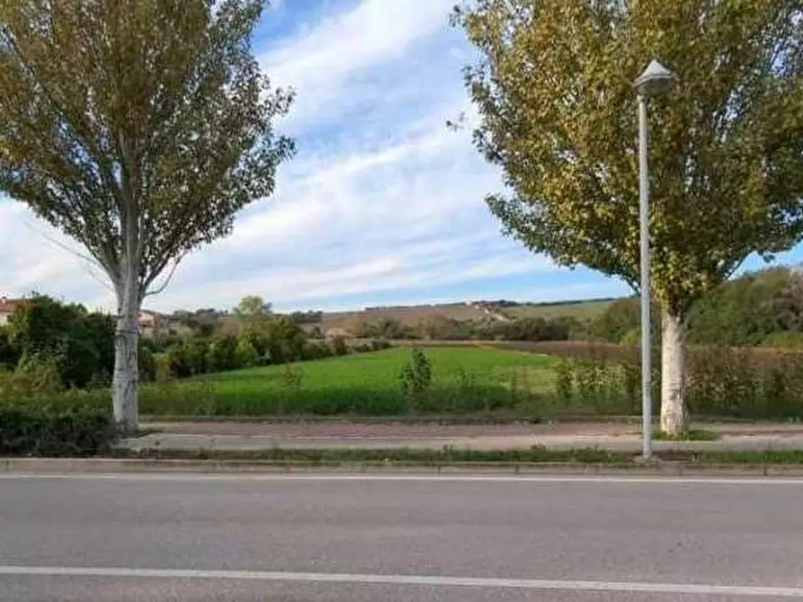 Immagine 7 di Terreno edificabile in vendita  in Via Ugo Betti snc a Mondolfo