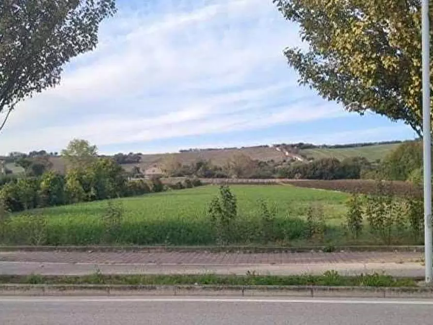 Immagine 8 di Terreno edificabile in vendita  in Via Ugo Betti snc a Mondolfo