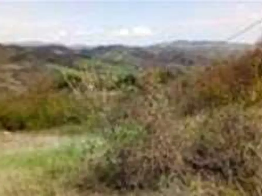 Immagine 5 di Appartamento in vendita  in Via Monte Avorio a Urbino