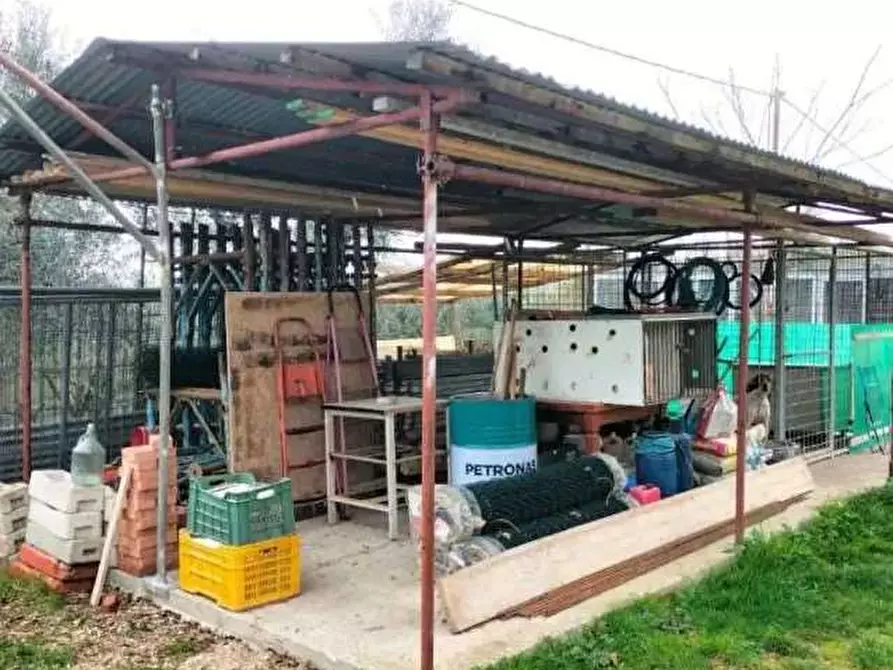 Immagine 4 di Appartamento in vendita  in Via Cavallara 23 a Mondavio