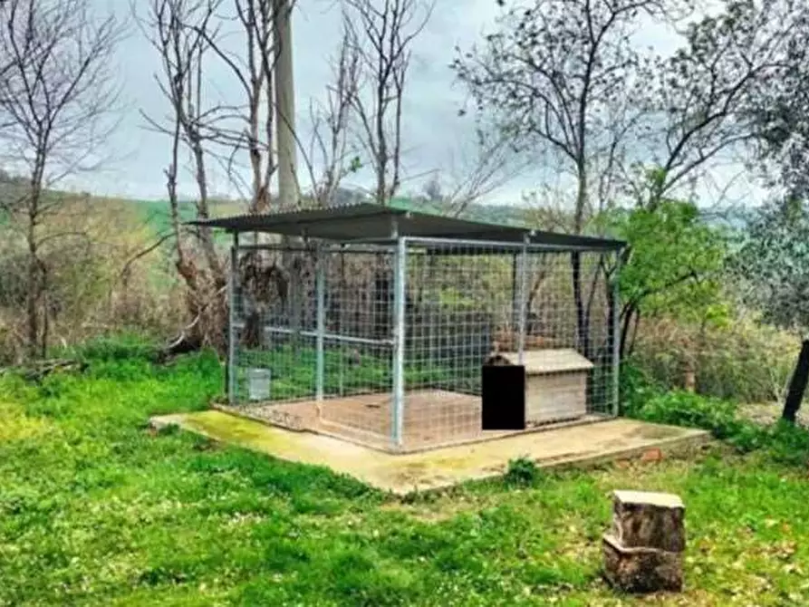 Immagine 5 di Appartamento in vendita  in Via Cavallara 23 a Mondavio