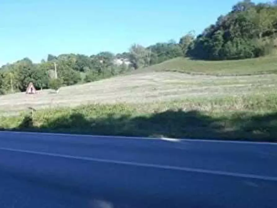 Immagine 1 di Terreno agricolo in vendita  in Via Riva Tarugo a Sant'ippolito