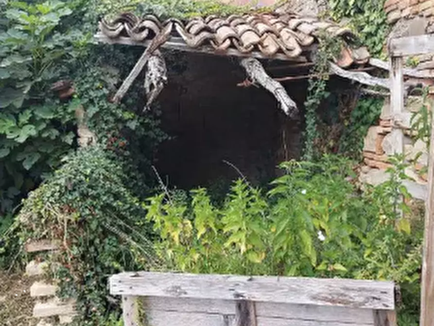 Immagine 4 di Appartamento in vendita  in Via RISARA  20 a Montelabbate