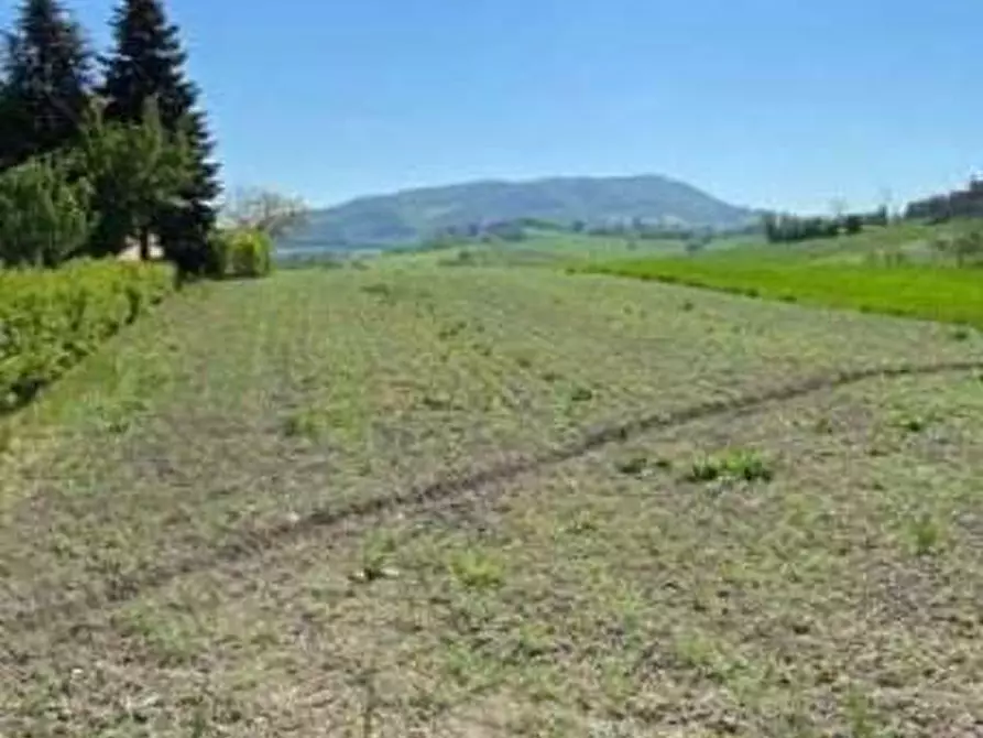 Immagine 12 di Casa bifamiliare in vendita  in Strada Prov.le San Savino 18/A a Frontone