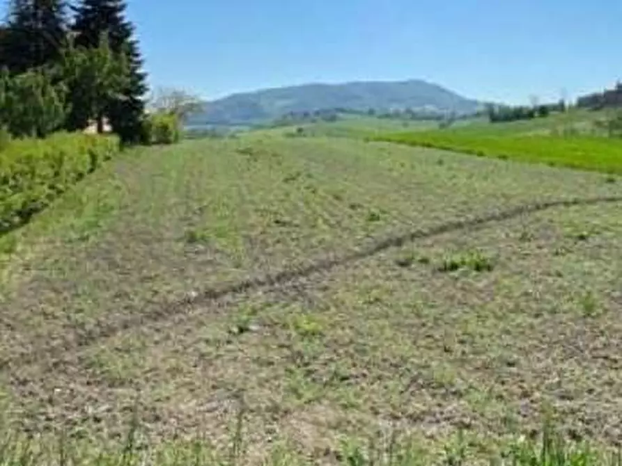 Immagine 14 di Casa bifamiliare in vendita  in Strada Prov.le San Savino 18/A a Frontone