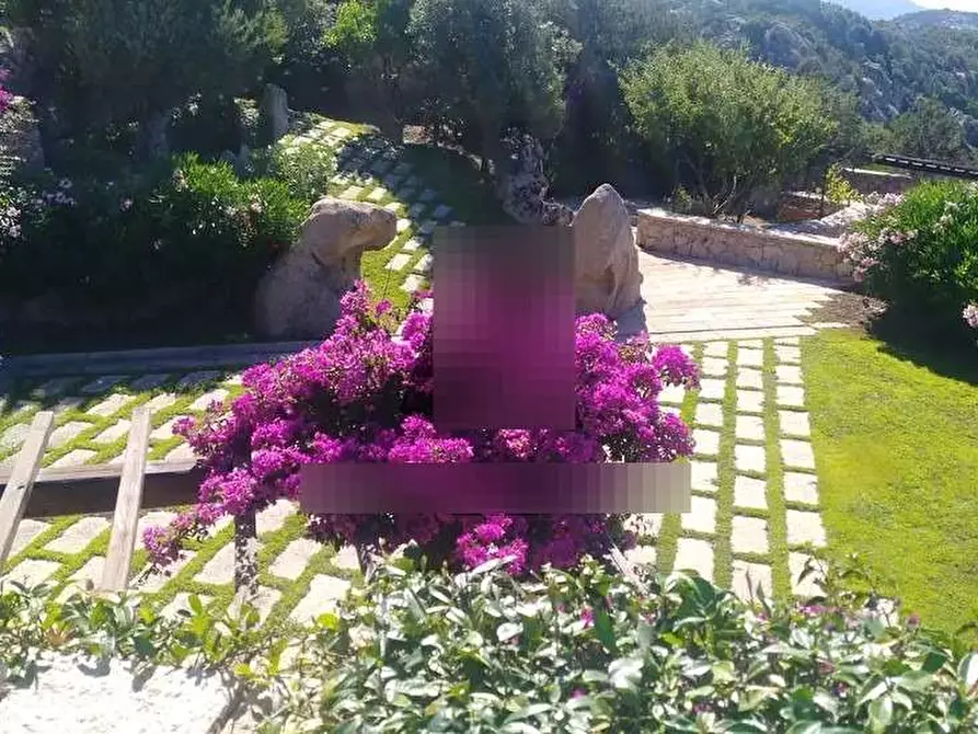Immagine 24 di Villa in vendita  in Condominio Cussorgia di Miata Località Liscia di Vacca a Arzachena