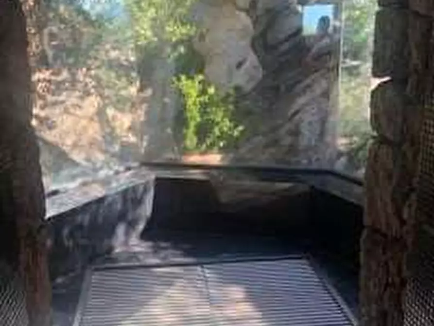 Immagine 39 di Villa in vendita  in Condominio Cussorgia di Miata Località Liscia di Vacca a Arzachena