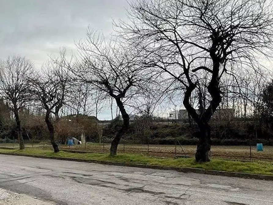 Immagine 4 di Appartamento in vendita  in Via Della Resistenza 14 a Colli Al Metauro