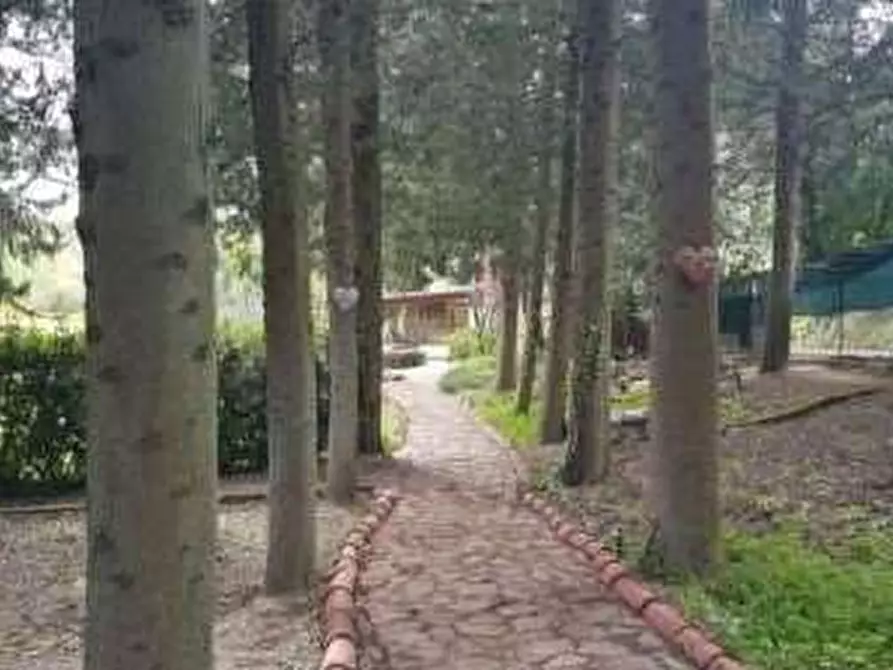 Immagine 8 di Villa in vendita  in Via Cairo 4 a Mombaroccio