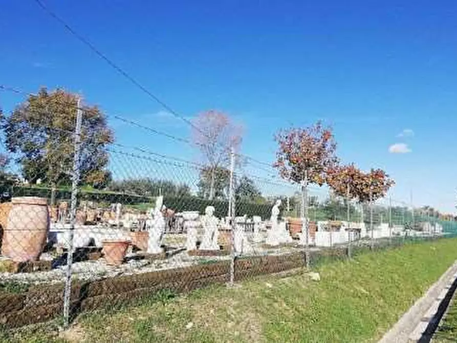 Immagine 3 di Capannone industriale in vendita  a Sant'ippolito