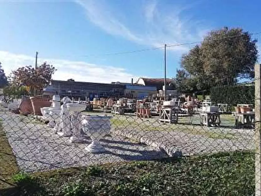 Immagine 5 di Capannone industriale in vendita  a Sant'ippolito