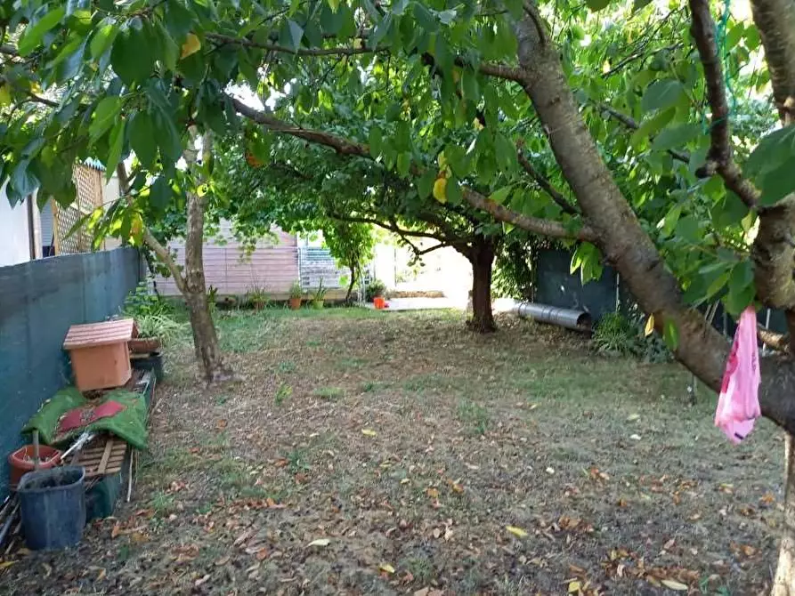 Immagine 3 di Appartamento in vendita  in Via Leonilde Lotti 67 a Vallefoglia