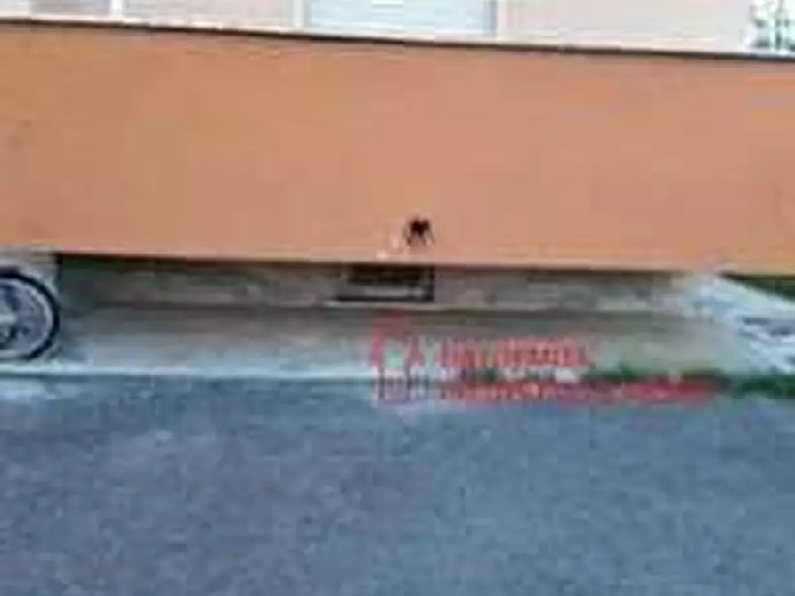 Immagine 9 di Appartamento in vendita  in Via Antonio Gramsci 1 a Colli Al Metauro