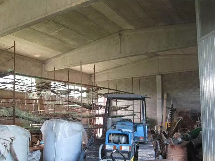 Immagine 2 di Magazzino in vendita  in Frazione Bellaguardia - Via La Ghita snc a Fossombrone
