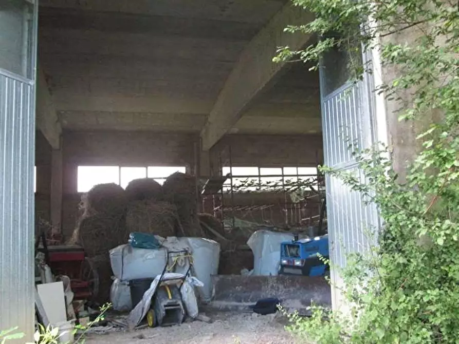 Immagine 3 di Magazzino in vendita  in Frazione Bellaguardia - Via La Ghita snc a Fossombrone