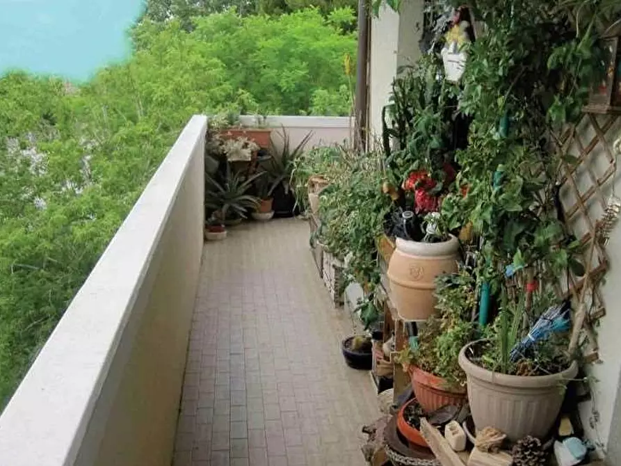 Immagine 4 di Appartamento in vendita  in Viale delle Regioni 64 a Mondolfo