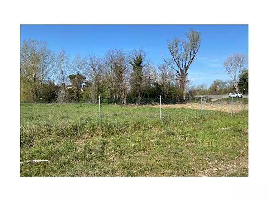 Immagine 3 di Terreno agricolo in vendita  in Via Risara a Montelabbate