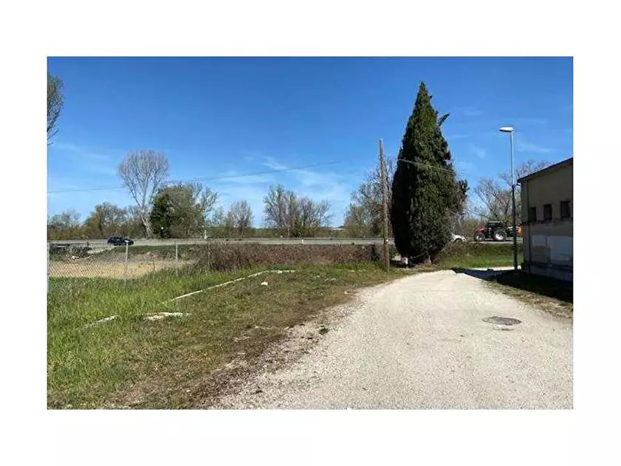 Immagine 4 di Terreno agricolo in vendita  in Via Risara a Montelabbate