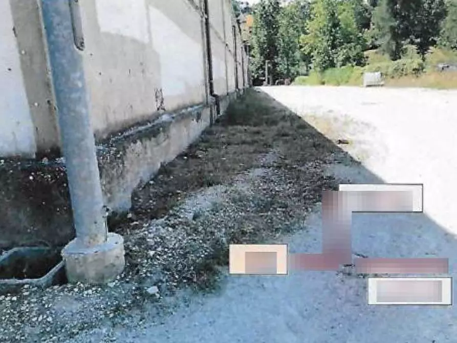 Immagine 10 di Terreno agricolo in vendita  in Via Risara a Montelabbate